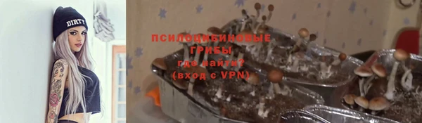 амфетамин Новозыбков