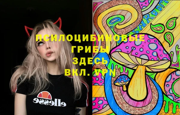 амфетамин Новозыбков